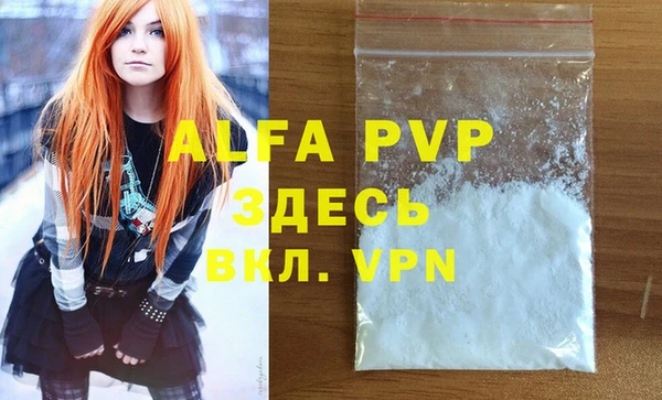 прущие грибы Горняк