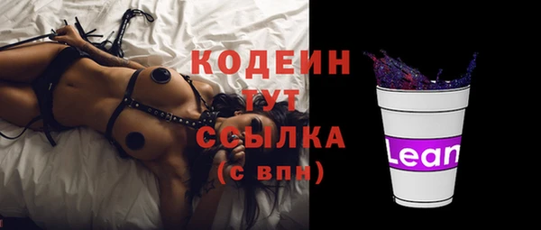 прущие грибы Горняк