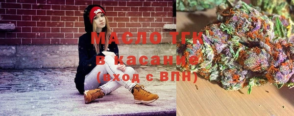 прущие грибы Горняк