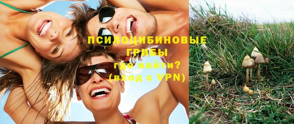 PSILOCYBIN Горнозаводск
