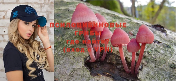 PSILOCYBIN Горнозаводск