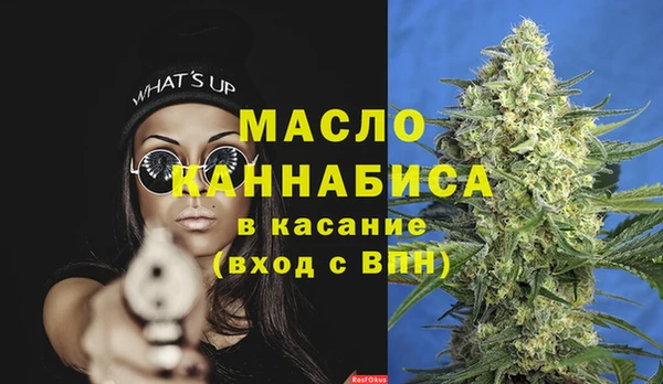 прущие грибы Горняк