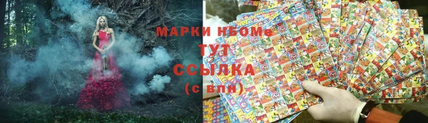 PSILOCYBIN Горнозаводск