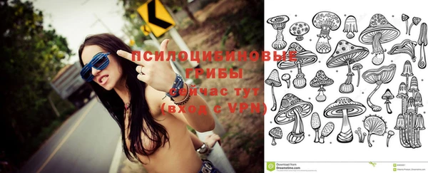 альфа пвп Горно-Алтайск