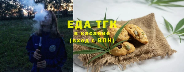 прущие грибы Горняк