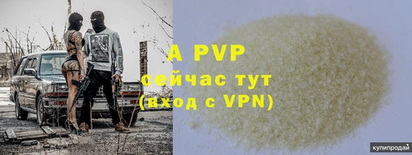 ECSTASY Вяземский