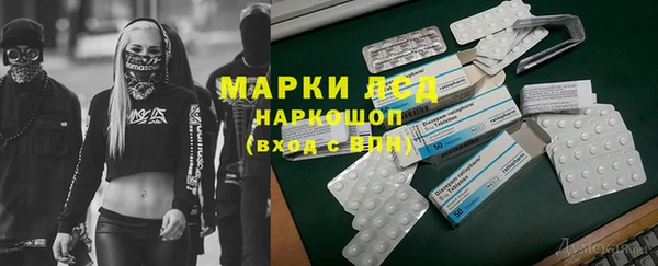 прущие грибы Горняк