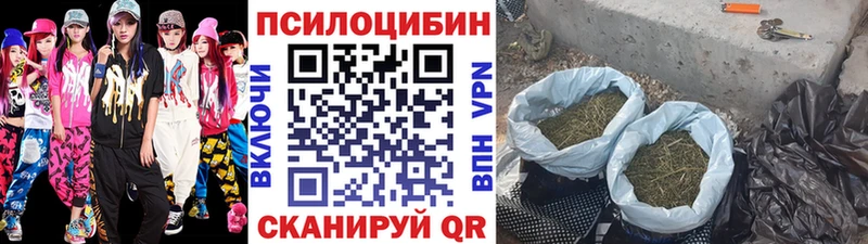 закладка  Плавск  Галлюциногенные грибы MAGIC MUSHROOMS 